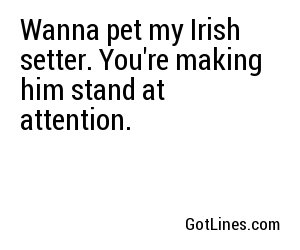 Wanna pet my Irish setter. You're making him stand at attention.
