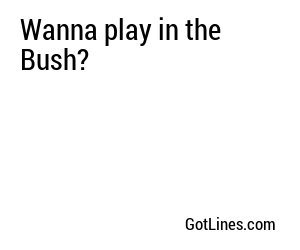 Wanna play in the Bush?