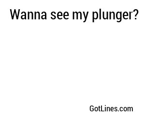 Wanna see my plunger?
