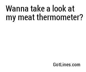Wanna take a look at my meat thermometer? 