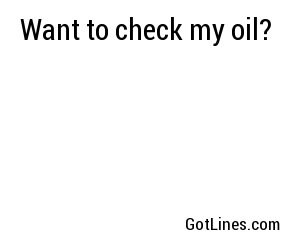 Want to check my oil?
