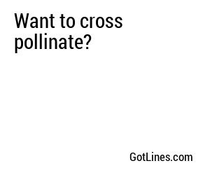 Want to cross pollinate?
