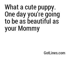 What a cute puppy. One day you're going to be as beautiful as your Mommy
