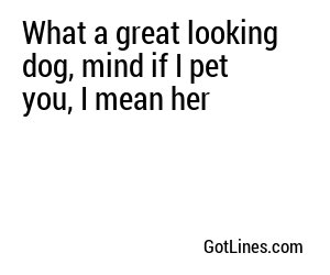 What a great looking dog, mind if I pet you, I mean her
