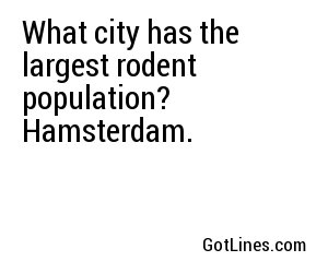 What city has the largest rodent population? Hamsterdam.
