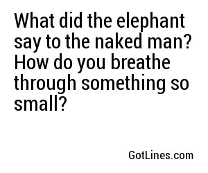 What did the elephant say to the naked man? How do you breathe through something so small?