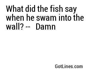 What did the fish say when he swam into the wall? -- 
Damn