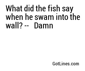 What did the fish say when he swam into the wall? -- 
Damn