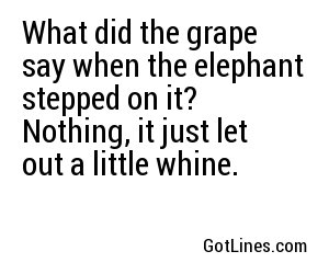 What did the grape say when the elephant stepped on it? Nothing, it just let out a little whine.
