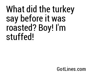 What did the turkey say before it was roasted? Boy! I'm stuffed!
