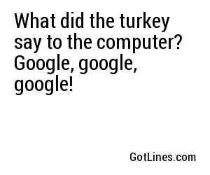 What did the turkey say to the computer? Google, google, google!
