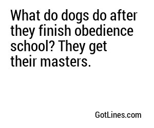 What do dogs do after they finish obedience school? They get their masters.
