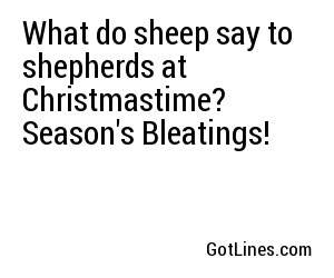 What do sheep say to shepherds at Christmastime? Season's Bleatings!
