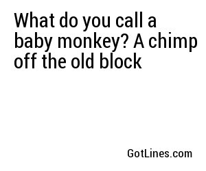 What do you call a baby monkey? A chimp off the old block