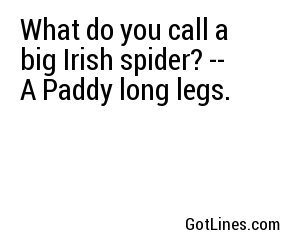 What do you call a big Irish spider? -- A Paddy long legs.
