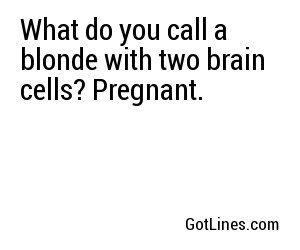 What do you call a blonde with a brain? A golden retriever. 