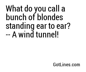 What do you call a bunch of blondes standing ear to ear? -- A wind tunnel!