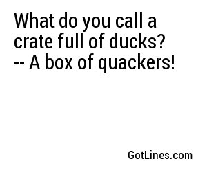 What do you call a crate full of ducks? -- A box of quackers!