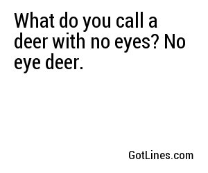 What do you call a deer with no eyes? No eye deer.