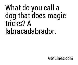 What do you call a dog that does magic tricks? A labracadabrador.