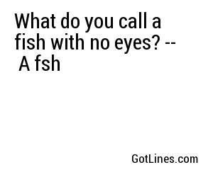What do you call a fish with no eyes? --
A fsh