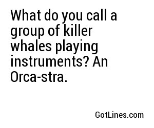What do you call a group of killer whales playing instruments? An Orca-stra.
