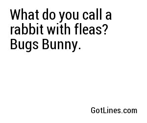 What do you call a rabbit with fleas? Bugs Bunny.