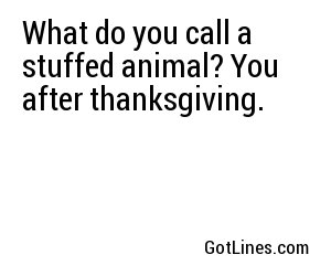 What do you call a stuffed animal? You after thanksgiving.
