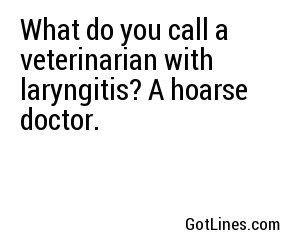 What do you call a veterinarian with laryngitis? A hoarse doctor.