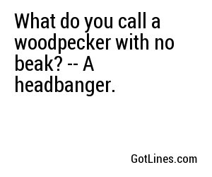 What do you call a woodpecker with no beak? -- A headbanger.