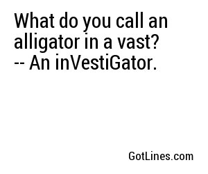 What do you call an alligator in a vast? -- An inVestiGator.