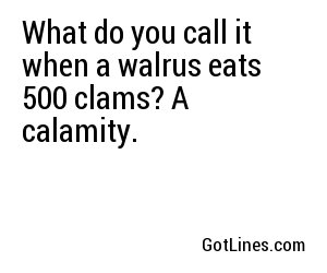 What do you call it when a walrus eats 500 clams? A calamity.