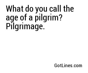 What do you call the age of a pilgrim? Pilgrimage.
