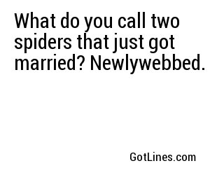 What do you call two spiders that just got married? Newlywebbed.