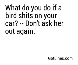 What do you do if a bird shits on your car? -- Don't ask her out again.