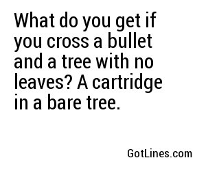 What do you get if you cross an owl with a witch? A bird that's ugly but doesn't give a hoot!
