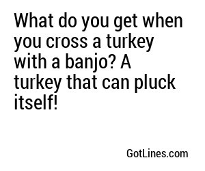 What do you get when you cross a turkey with a banjo? A turkey that can pluck itself!
