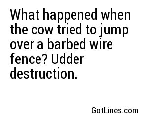 What happened when the cow tried to jump over a barbed wire fence? Udder destruction.
