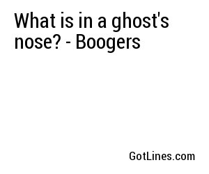 What is in a ghost's nose? - Boogers
