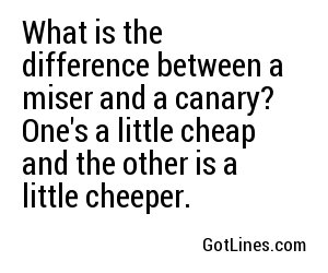 What is the difference between a miser and a canary? One's a little cheap and the other is a little cheeper.
