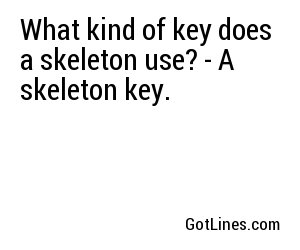 What kind of key does a skeleton use? - A skeleton key.
