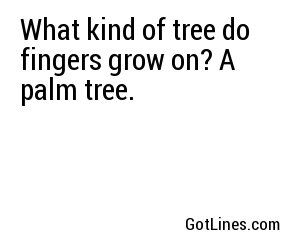 What kind of tree do fingers grow on? A palm tree.
