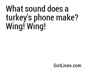 What sound does a turkey's phone make? Wing! Wing!
