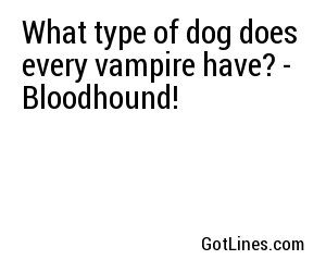What type of dog does every vampire have? - Bloodhound!
