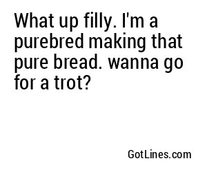 What up filly. I'm a purebred making that pure bread. wanna go for a trot?
