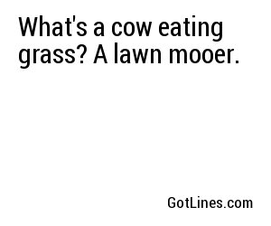 What's a cow eating grass? A lawn mooer.