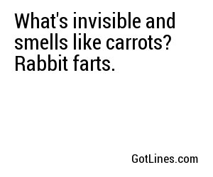 What's invisible and smells like carrots? Rabbit farts.