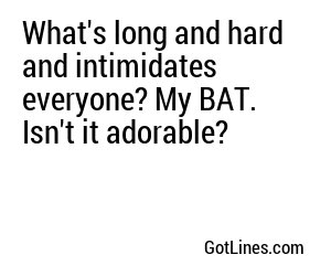 What's long and hard and intimidates everyone? My BAT. Isn't it adorable?
