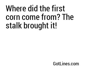 Where did the first corn come from? The stalk brought it!
