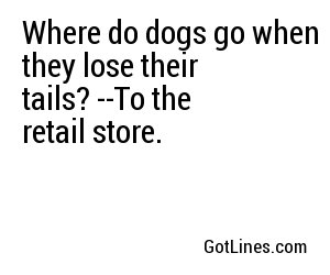 Where do dogs go when they lose their tails? --To the retail store.